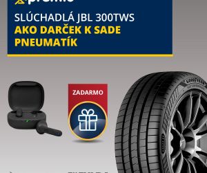 Domov Michelin 2