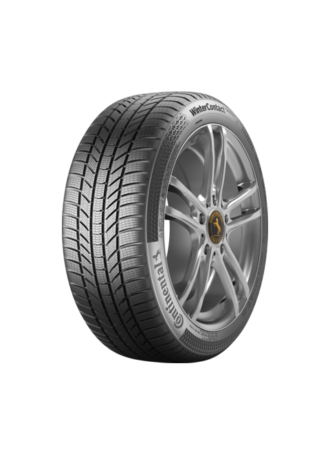 245/45 R19 WinterContact TS 870 P 102V XL FR 3PMSF