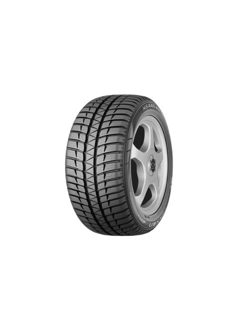 225/50R17 EUROWINTER HS449 94V M+S 3PMSF MFS ROF