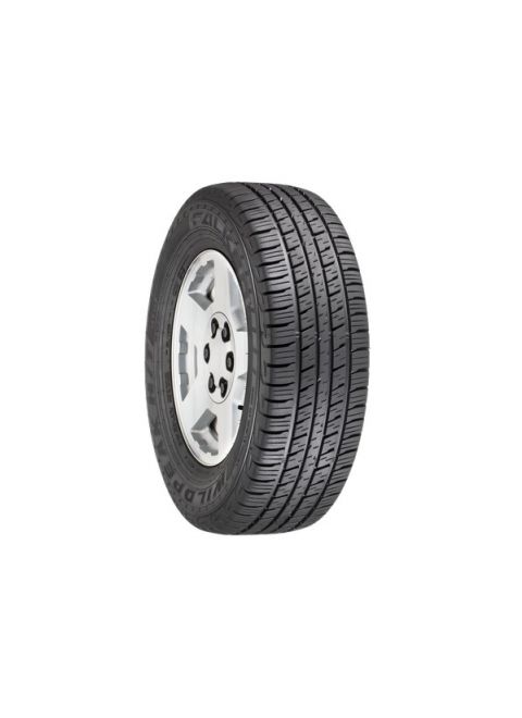225/60 R17 WILDPEAK H/T01 99T M+S